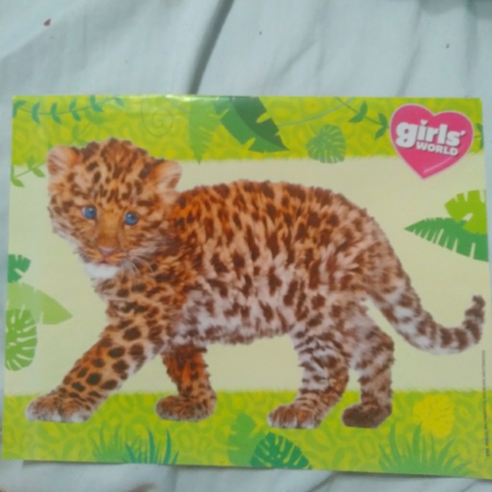 Girls' World Small Cheetah Cub/Snowy Cat Poster